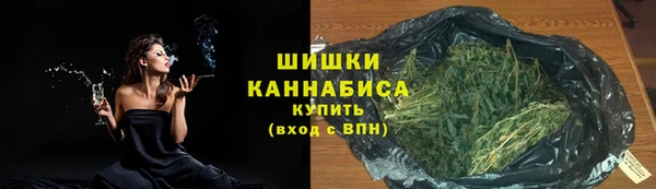 крисы Медногорск