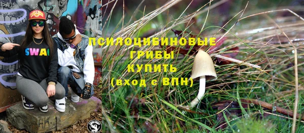 крисы Медногорск